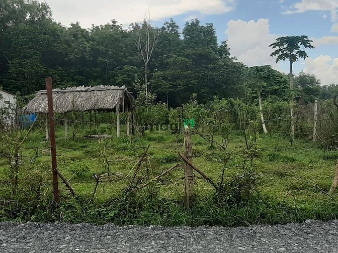 Hình ảnh Cần bán đất xã Trung Lập Thượng - Củ Chi