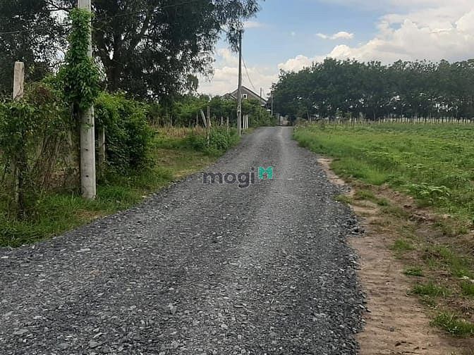 Hình ảnh Cần bán đất xã Trung Lập Thượng - Củ Chi