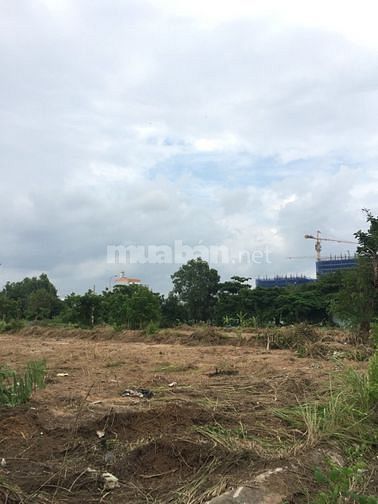 Hình ảnh Bán đất nền KDC ADC Phú Mỹ, 5x20m MT Đường 20m lô B54 giá 75 triệu