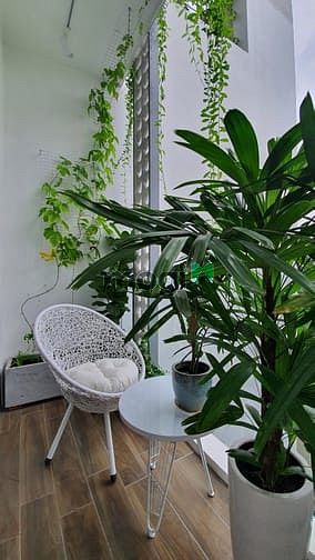 Hình ảnh Nguyễn Thị Định, Quận 2, gần đại lộ Mai Chí Thọ, TK đẳng cấp châu âu_