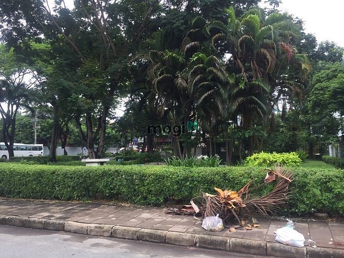 Hình ảnh Cho thuê Gấp biệt thự đơn lập chỉ 55tr/th khu Cảnh đồi, Phú mỹ hưng