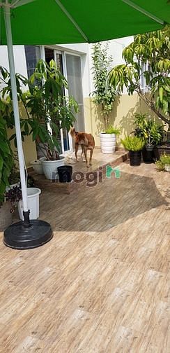 Hình ảnh cần bán căn penhouse sky 3 phú mỹ hưng