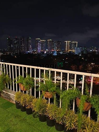 Hình ảnh cần cho thuê penhouse sky garder 3 , phú mỹ hưng
