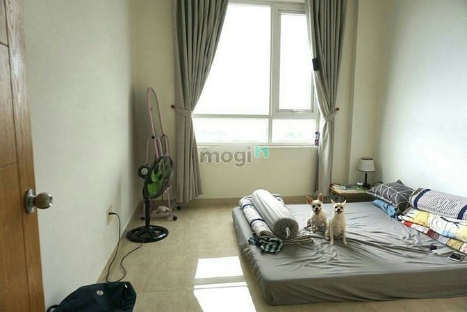 Hình ảnh Cho thuê 15 căn chung cư The CBD, Đồng Văn Cống, Q2. Gía 7.5 tr/th