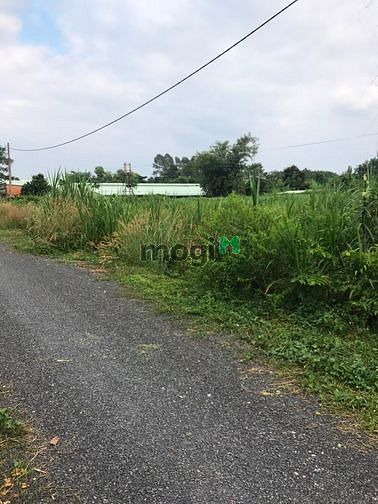 Hình ảnh Cần bán gấp đất mặt tiền đường 793 - xã An Phú - Củ Chi