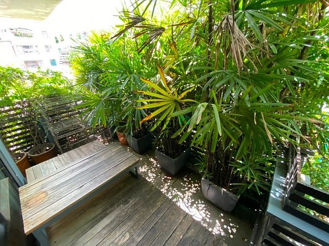 Hình ảnh Cho thuê BIỆT THỰ MINI Quận Bình Thạnh Đoạn 2 chiều