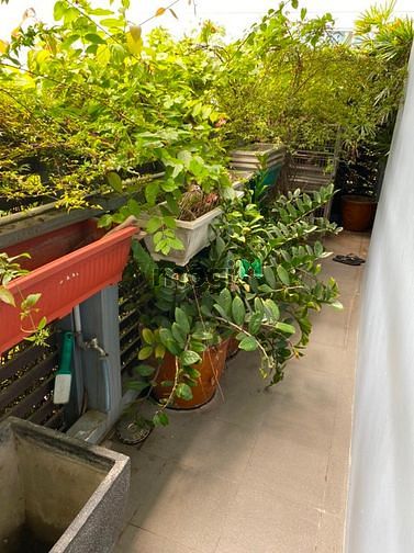 Hình ảnh Cho thuê BIỆT THỰ MINI Quận Bình Thạnh Đoạn 2 chiều