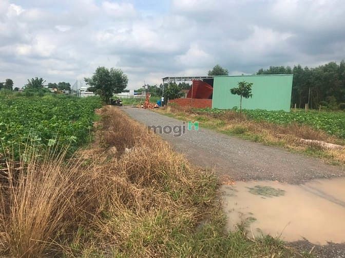 Hình ảnh Bán đất thổ cư phường tam phước thành phố BHĐN