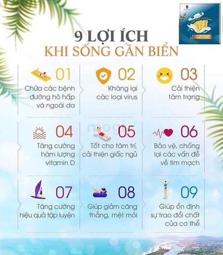 Hình ảnh Đến với Long Hải Gold Farm - sở hữu ngay Mocbai66.com nhà cái WC 2026 biển chỉ 7tr/m2