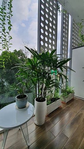 Hình ảnh Studio Full nội thất, Quận 2. Có máy giặt máy sấy riêng. Gần UBND q2