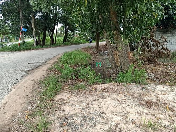 Hình ảnh Cần bán đất mặt tiền đường 577 - xã Trung Lập Hạ - Củ Chi