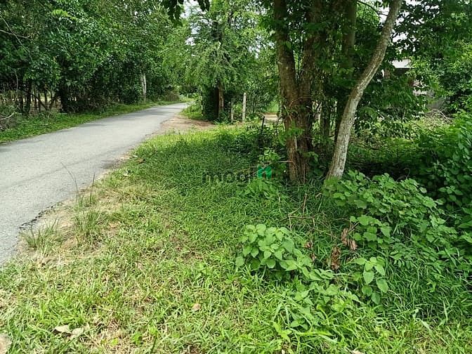 Hình ảnh Cần bán đất 1/ đường Trung Hưng - xã Trung Lập Thượng - Củ Chi