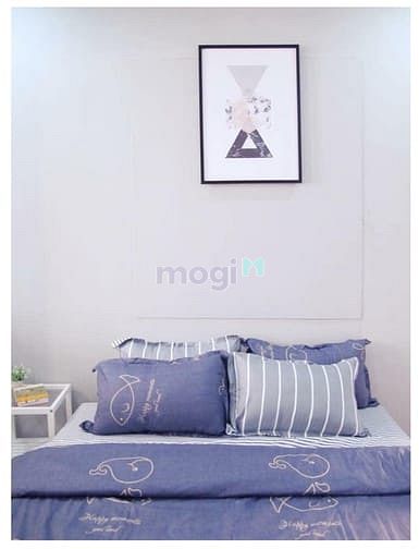 Hình ảnh 🏬🏬🏬 Căn Hộ Mini, mới xây ngay sau CV Lê Thị Riêng, Bắc Hải QUẬN 10