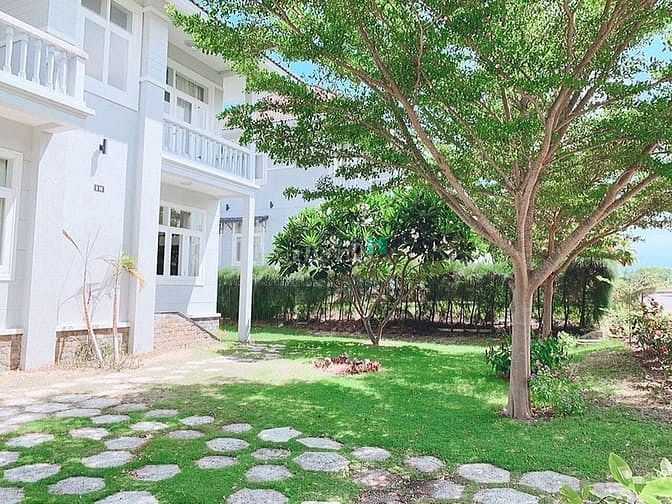 Hình ảnh Cho Thuê nguyên căn Quận 3 . Phường 04 tp