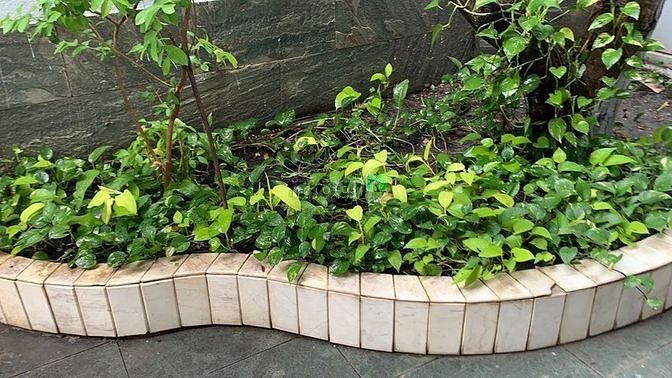 Hình ảnh Nhà khu tên lửa , quận tân binh 130m2 10,5 tỷ