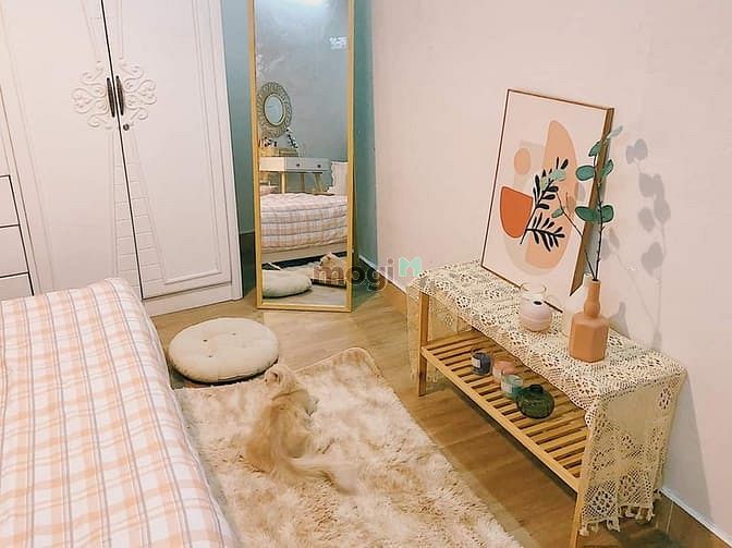 Hình ảnh Phòng đẹp Hoàng Văn Thụ, Full NT, được nuôi pet