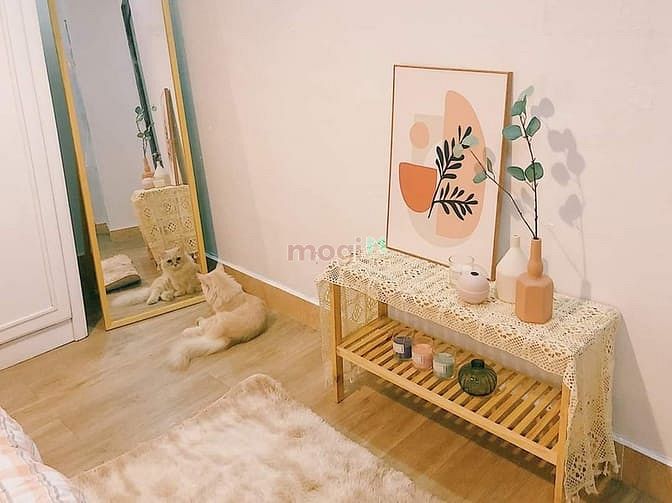 Hình ảnh Phòng đẹp Hoàng Văn Thụ, Full NT, được nuôi pet