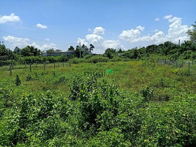 Hình ảnh Cần bán đất xã Phước Hiệp - Củ Chi