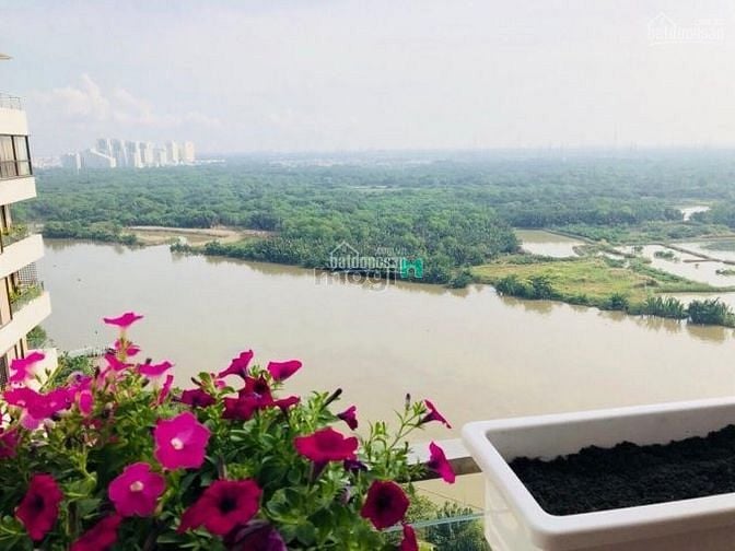 Hình ảnh Định cư mỹ ko về được cho thuê  Riverpark Premier, Phú Mỹ Hưng quận 7