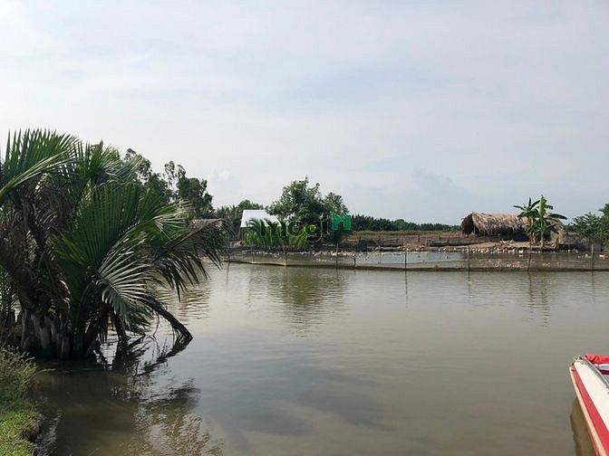 Hình ảnh Bán gấp MT Phan Văn Đáng,Phú Hữu,Nhơn Trạch,sát Cát Lái 900tr/1000m
