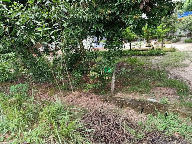 Hình ảnh Cần bán đất 1/ đường Bến Súc - xã An Phú - Củ Chi