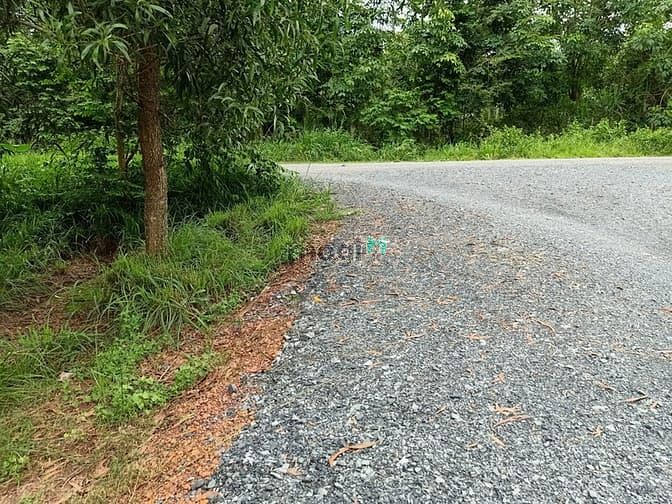 Hình ảnh Cần bán đất 1/ đường Bến Súc - xã An Phú - Củ Chi