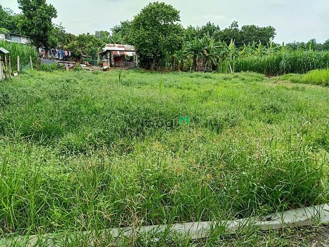 Hình ảnh Cần bán đất 1/ đường Bến Đình - xã An Nhơn Tây - Củ Chi