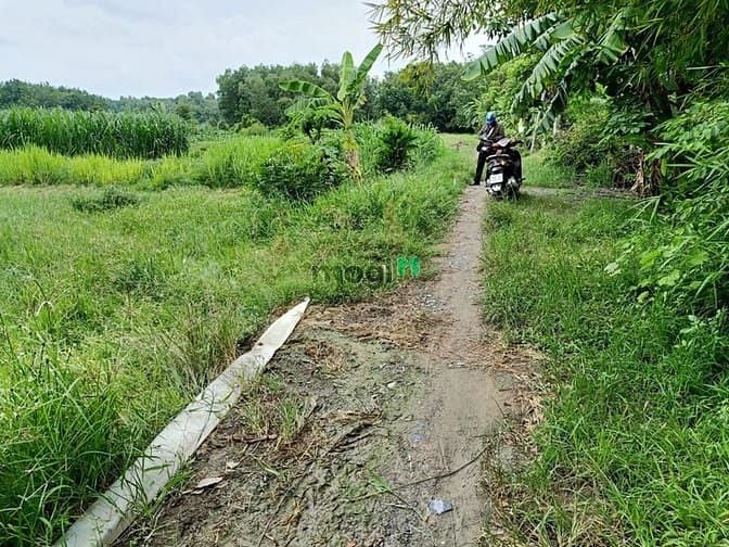 Hình ảnh Cần bán đất 1/ đường Bến Đình - xã An Nhơn Tây - Củ Chi