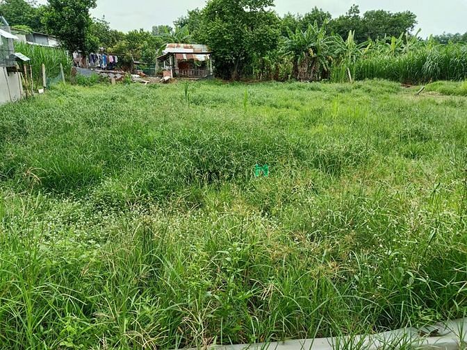 Hình ảnh Cần bán đất 1/ đường Bến Đình - xã An Nhơn Tây - Củ Chi