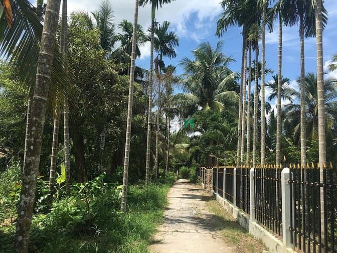 Hình ảnh Nền 200m2 mặt tiền rạch Bà Vèn đường Huỳnh Thị Nỡ, Q.Cái Răng, Cần Thơ