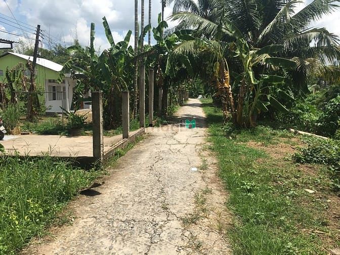Hình ảnh Nền 200m2 mặt tiền rạch Bà Vèn đường Huỳnh Thị Nỡ, Q.Cái Răng, Cần Thơ