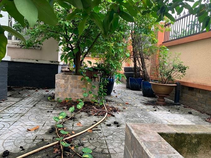 Hình ảnh Cho Thuê Biệt Thự - Villa Làm Trường Mầm Non P.An Phú Quận 2