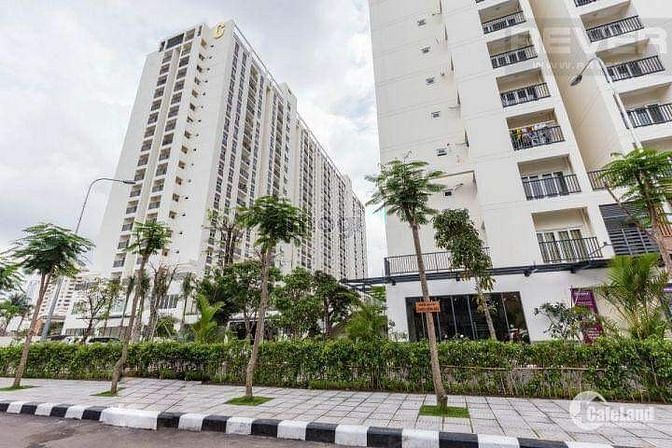 Hình ảnh Cho thuê 14 Trang Chủ MB66.COM / Đăng Ký Tặng 66K Bộ Công An, Trần Não, Q2. 9tr/tháng. cọc 1 tháng
