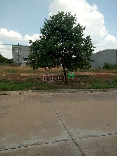Hình ảnh Cần bán gấp 2 lô đất trong tháng 144m2 và 200m2. Giá bán 720 triệu