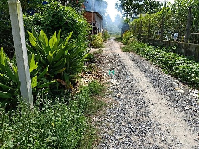 Hình ảnh Cần bán đất xã Tân Thông Hội - Củ Chi