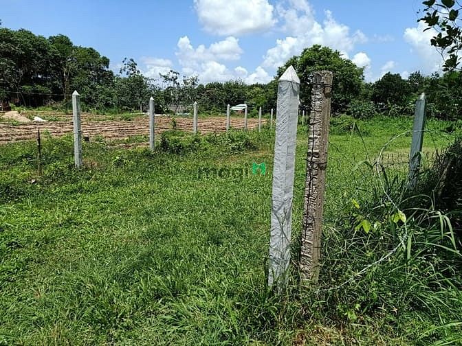 Hình ảnh Cần bán đất vườn xã An Phú - Củ Chi