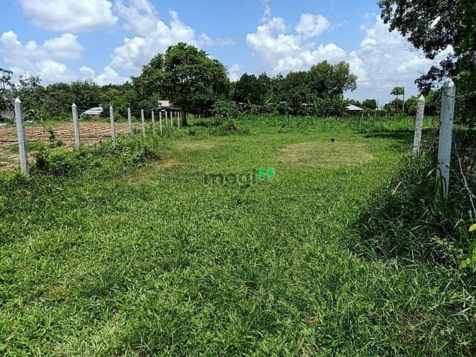 Hình ảnh Cần bán đất vườn xã An Phú - Củ Chi