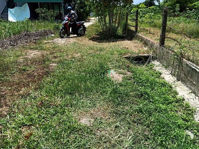 Hình ảnh Cần bán đất vườn xã An Phú - Củ Chi