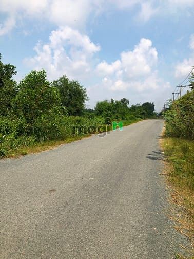 Hình ảnh Cần bán đất mặt tiền đường Tam Tân - xã Tân An Hội - Củ Chi