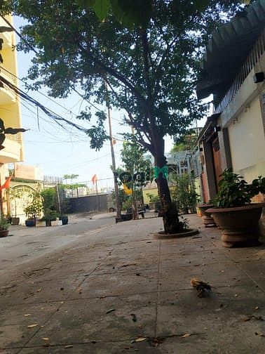 Hình ảnh Phòng CMT8, Giờ giấc tự do, nấu ăn!!