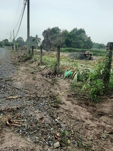 Hình ảnh Cần bán đất 2 mặt tiền xã Trung Lập Hạ - Củ Chi