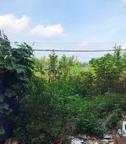Hình ảnh Cần bán lô đất vuông đẹp 48m2 đường ô tô tổ 13 Thạch Bàn