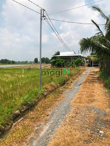 Hình ảnh Cần bán gấp đất vườn xã Nhuận Đức - Củ Chi