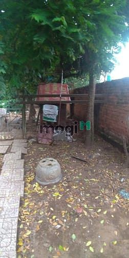 Hình ảnh cho thuê nhà nhà và đất dựng xưởng 9x65m
