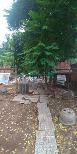 Hình ảnh cho thuê nhà nhà và đất dựng xưởng 9x65m