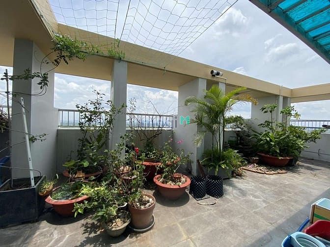 Hình ảnh Cho thuê Trang Chủ MB66.COM / Đăng Ký Tặng 66K belleza có sân vườn chung. 2 phòng ngủ, 2WC, giá: 11tr