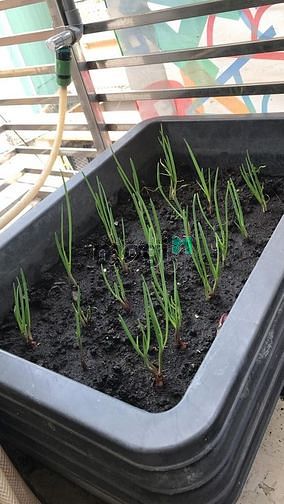 Hình ảnh Ký túc xá cao cấp gần Hutech - Bình Thạnh
