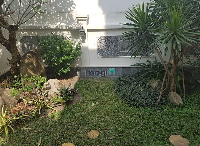 Hình ảnh cho thuê biệt thự đường D2 12x18m