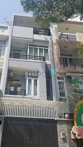 Hình ảnh cho thuê nhà đường D1 5x17m ( Bình Thạnh )