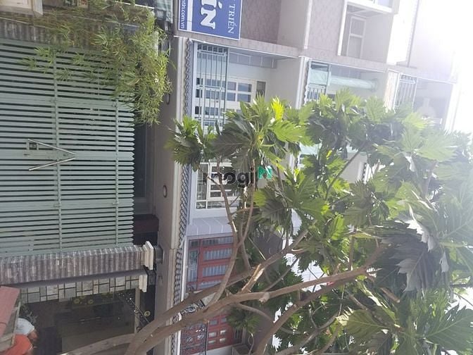 Hình ảnh cho thuê nhà đường Hoa Lan 4x18,8m